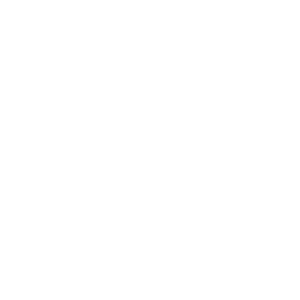 Successful product innovation