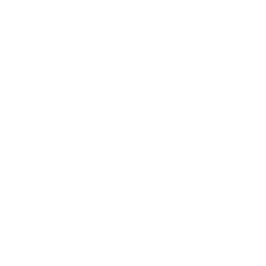 Shelf Display 