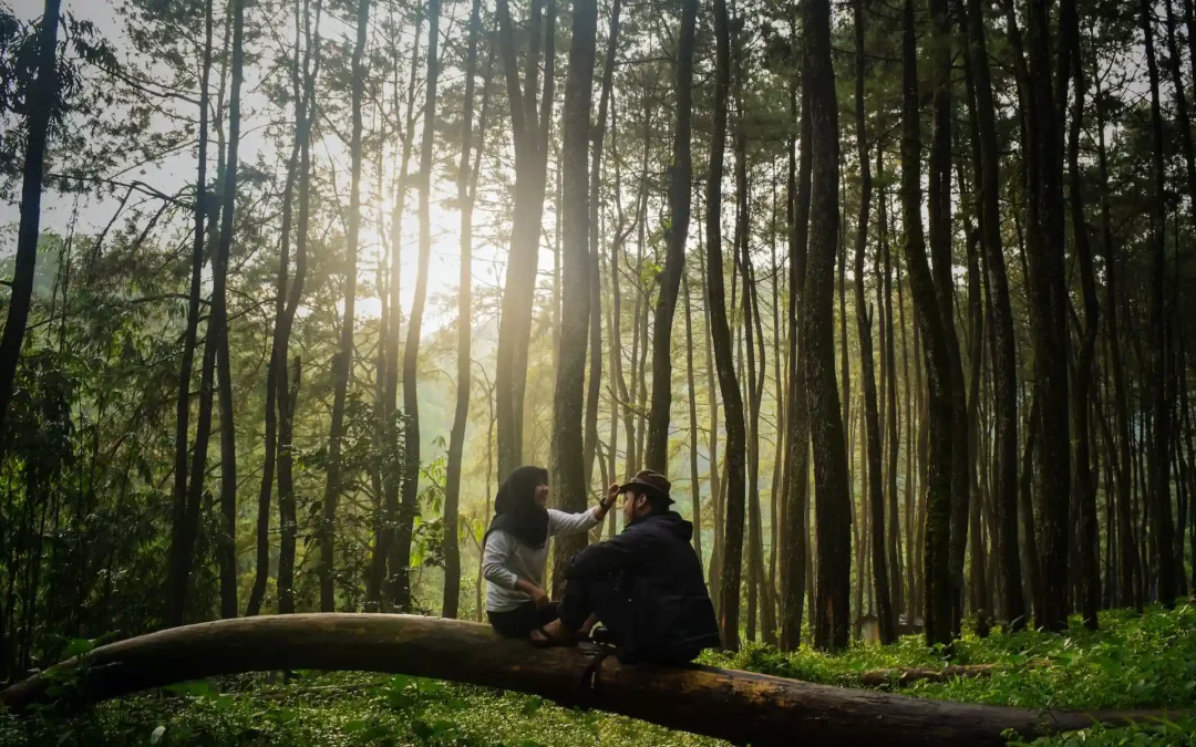 Blending neuroscience and behavioural psychology for the National Trust